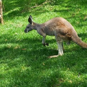 Meet your Posher, Erika